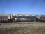 NSSX 100134